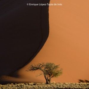 Quique López-Tapia