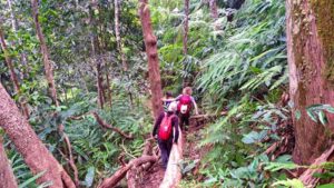 Trek en Luang Namtha