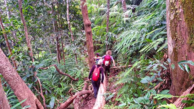 Trek en Luang Namtha